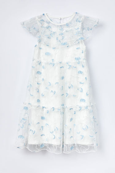 Girl Dress With Embroidery Pattern